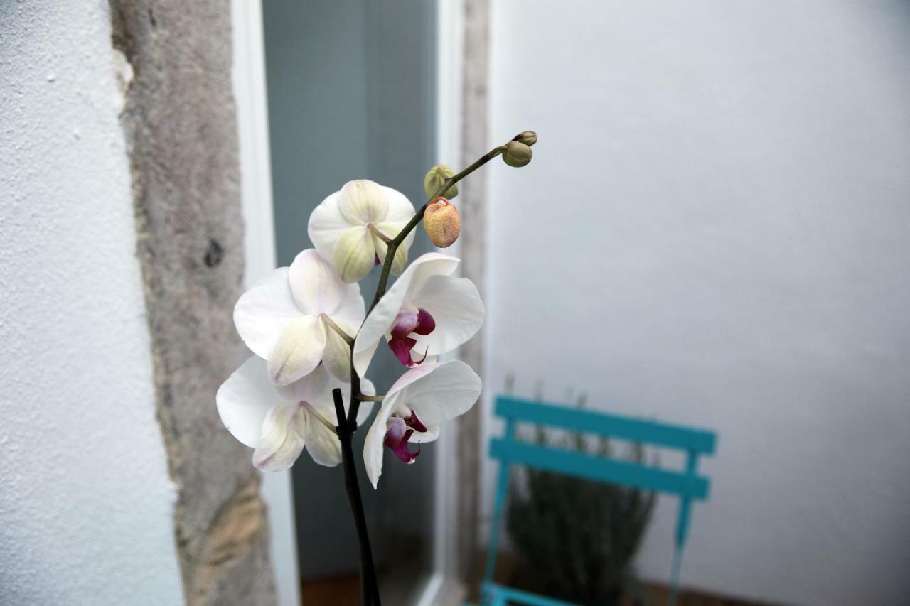 Apartament Santo Amaro'S House Lizbona Zewnętrze zdjęcie